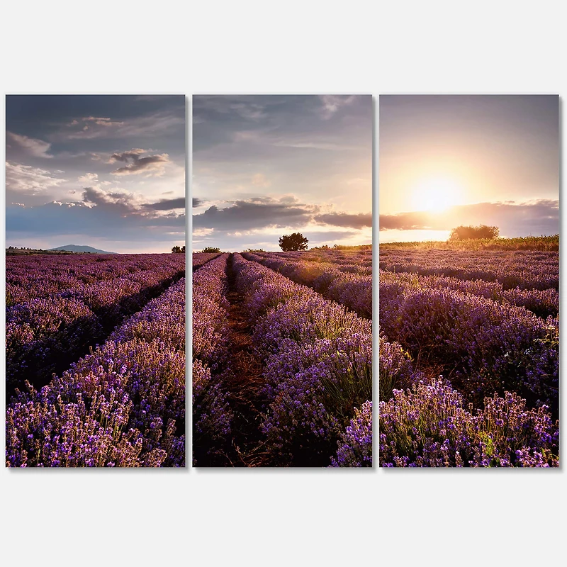 Designart - Sunrise & Dramatic Clouds Over Lavender Field V