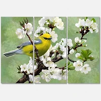 Designart - Bird On A Branch of Cherry
