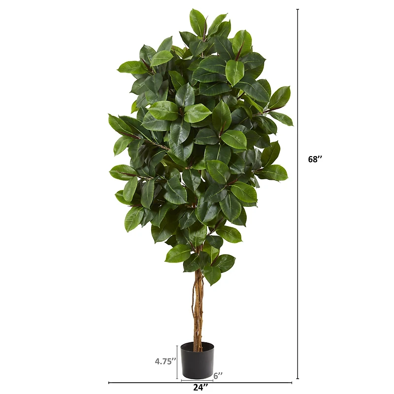 5.5ft. Potted Rubber Leaf Tree