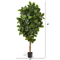 5.5ft. Potted Rubber Leaf Tree