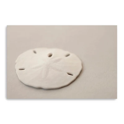 Sand Dollar Canvas Giclee