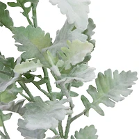 6 Pack: Frosted Dusty Miller Spray by Ashland®