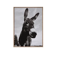 Hello Honey® Wood & Canvas Donkey Wall Plaque