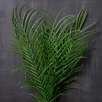 Palm Plant Bush by Ashland®