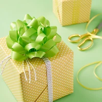 5.75" Lime Lacquer Gift Bow by Celebrate It™