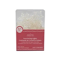 10ct. Warm White LED Iridescent Snowflake String Lights on Silver Wire by Ashland®