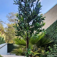 GreenSmart Dekor 4ft. Artificial Olive Tree Plant in Black Pot