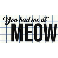Leisure Arts® Vinyl Matte Black You Had Me at Meow Decal