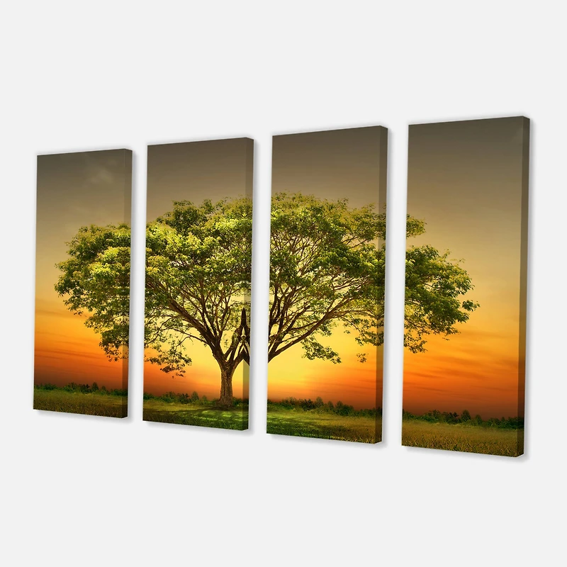Designart - Green Tree against Setting Sun