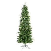 5.5ft. Pre-Lit Salem Pine Artificial Christmas Tree, Warm White Dura-Lit® LED Lights