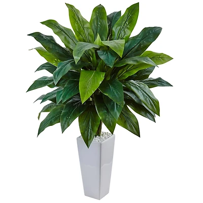 3ft. Cordyline Plant in White Tower Planter