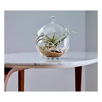 Scotch™ Round Self-Adhesive Bumpers, Clear