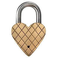 Hello Honey® Matte Finish Brass & Stainless Steel Heart-Shaped Lock with Flowers Set