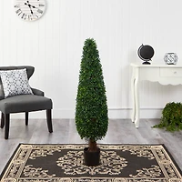 4ft. Potted Boxwood Cone Topiary Tree