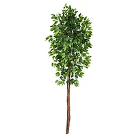 6ft. Artificial Double Trunk Ficus Tree