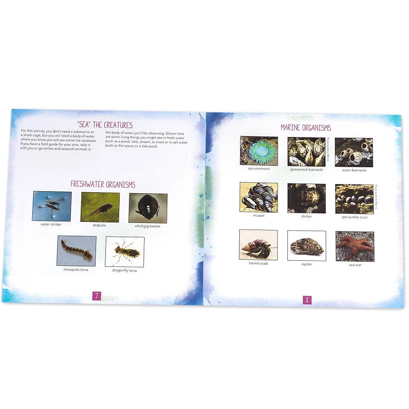 Educational Insights Nancy B's Science Club AquaScope