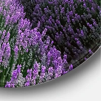 Designart - Sunrise & Dramatic Clouds Over Lavender Field II