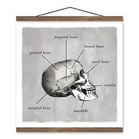 Skull Parts 16" x 16" Teak Hanging Canvas