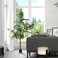 7ft. Potted Green Nandina Tree