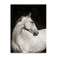 Elegant Canvas Giclee
