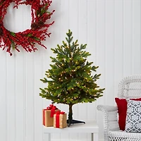 3ft. Pre-Lit North Carolina Fir Artificial Christmas Tree with Clear LED Lights
