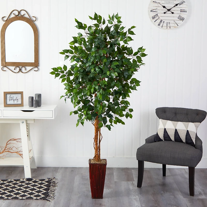 6ft. Ficus Tree in Bamboo Planter