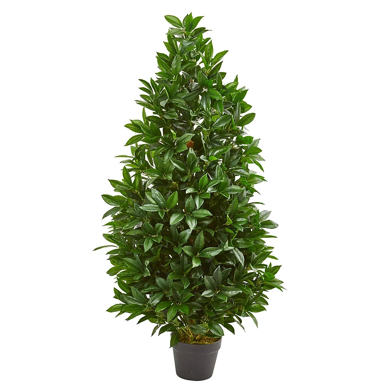 4ft. Potted Bay Leaf Topiary Tree