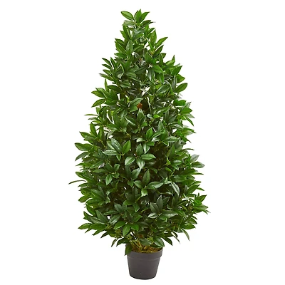 4ft. Potted Bay Leaf Topiary Tree