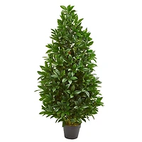 4ft. Potted Bay Leaf Topiary Tree