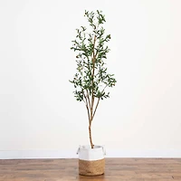 7ft. Olive Tree with Natural Trunk in Handmade Jute Basket