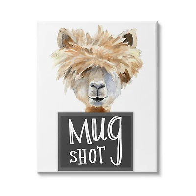 Stupell Industries Fluffy Hair Alpaca Animal Mugshot Funny Portrait Canvas Wall Art