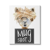 Stupell Industries Fluffy Hair Alpaca Animal Mugshot Funny Portrait Canvas Wall Art