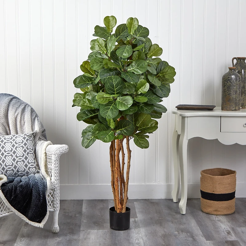5ft. Potted Fiddle Leaf Fig Tree