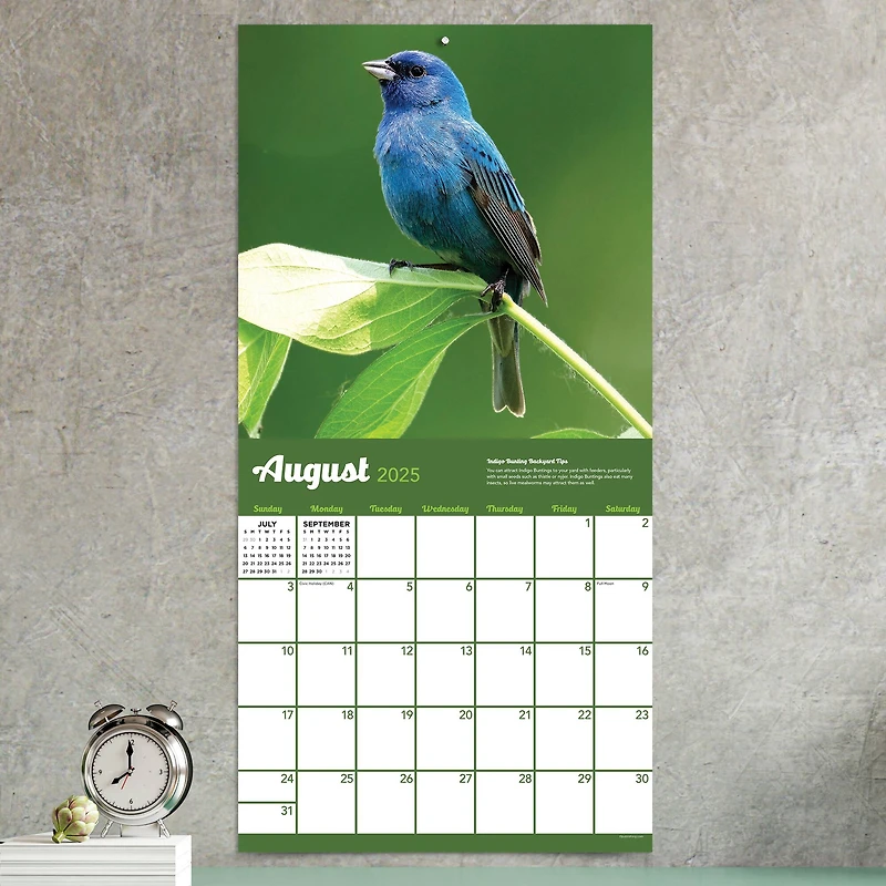 TF Publishing 2025 Backyard Birds Wall Calendar