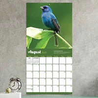 TF Publishing 2025 Backyard Birds Wall Calendar