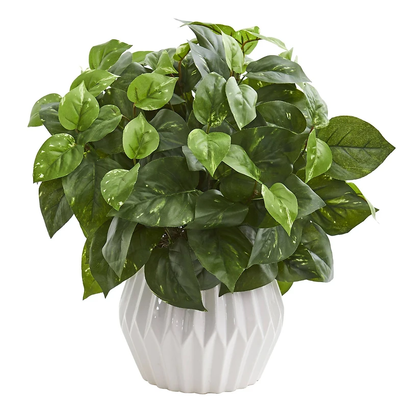16in. Pothos Plant in White Ceramic Vase