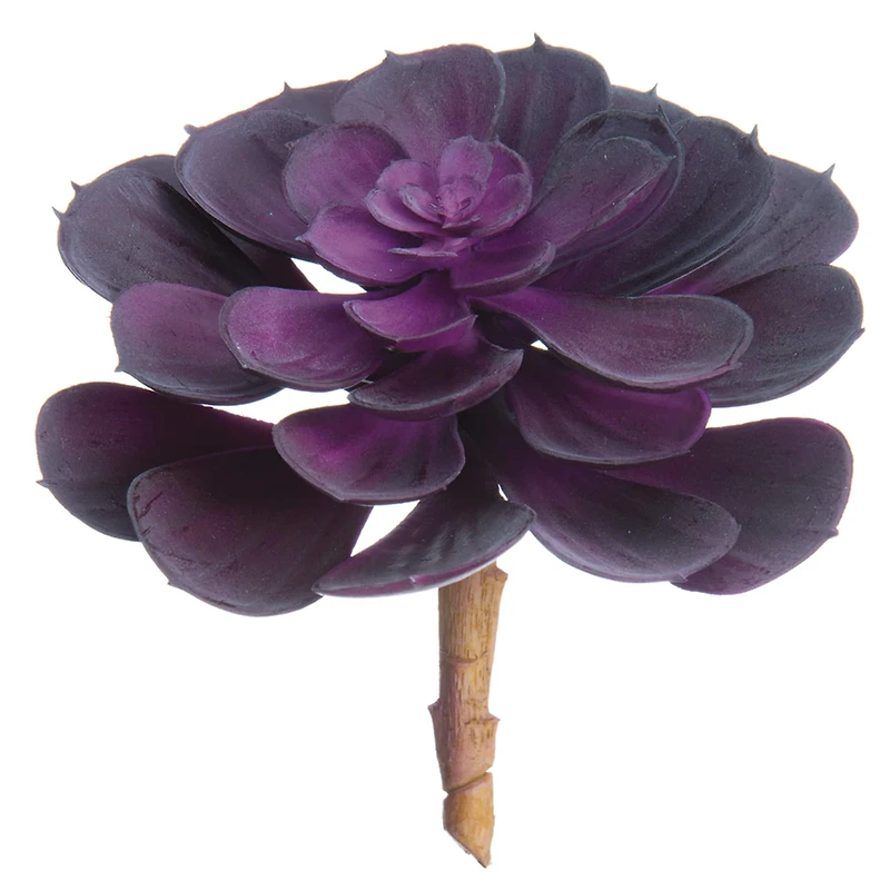 Soft Touch Purple Echeveria Pick 