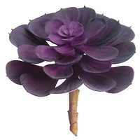 Soft Touch Purple Echeveria Pick 