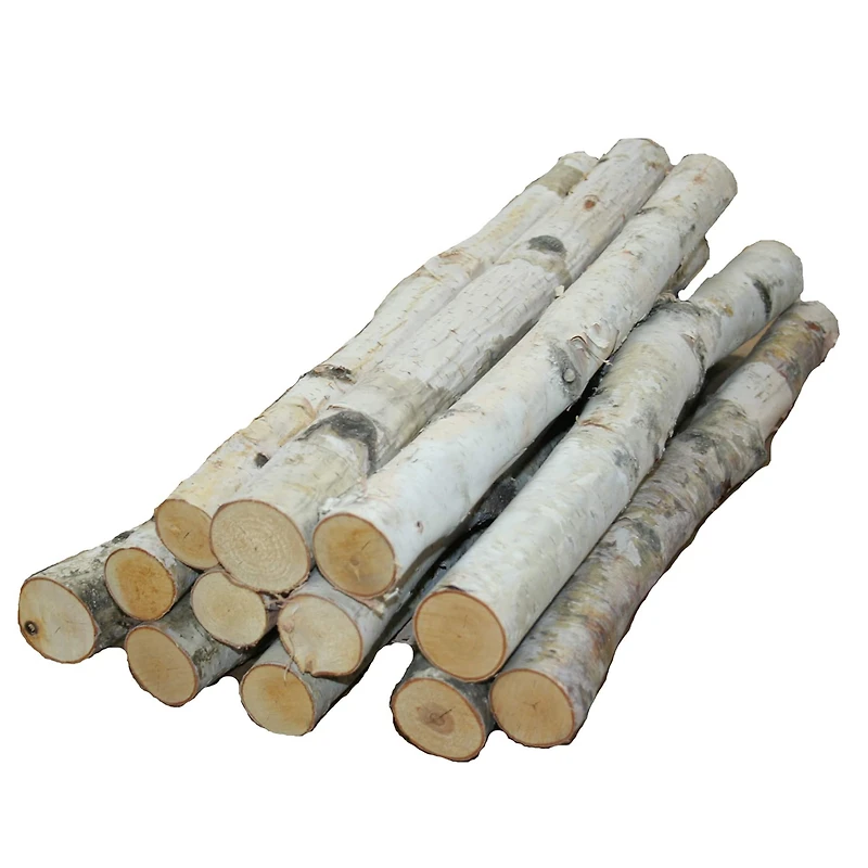 Wilson® Enterprises Birch Logs Set, 12ct.