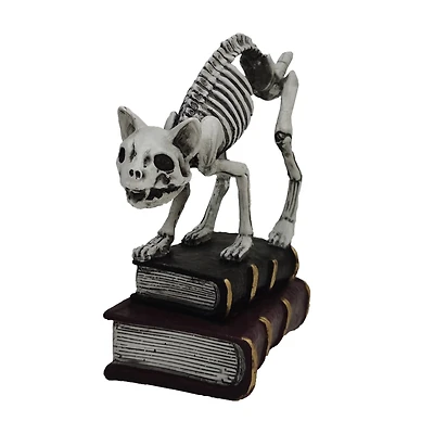 7" Skeleton Cat with Books Tabletop Décor by Ashland®