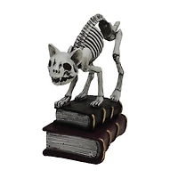 7" Skeleton Cat with Books Tabletop Décor by Ashland®