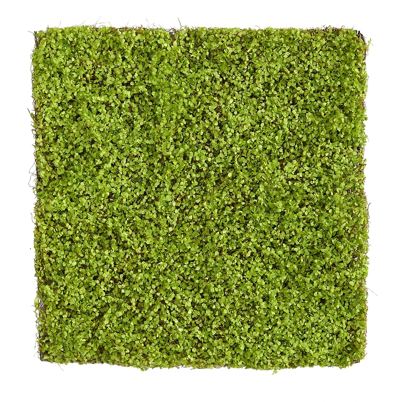 20" Duckweed Artificial Wall Mat