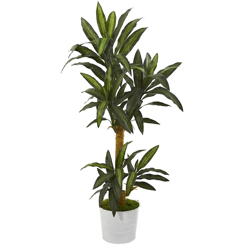 5ft. Yucca Plant in White Tin Planter