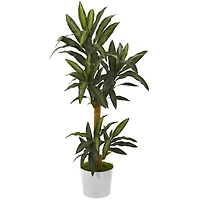 5ft. Yucca Plant in White Tin Planter