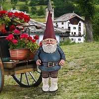 Design Toscano 4ft. Father Friedemann Patriarch of the Gnome Clan