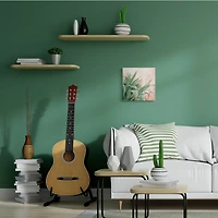 Stupell Industries Green Succulent Plant Leaves Contemporary Paint Splatter Canvas Wall Art