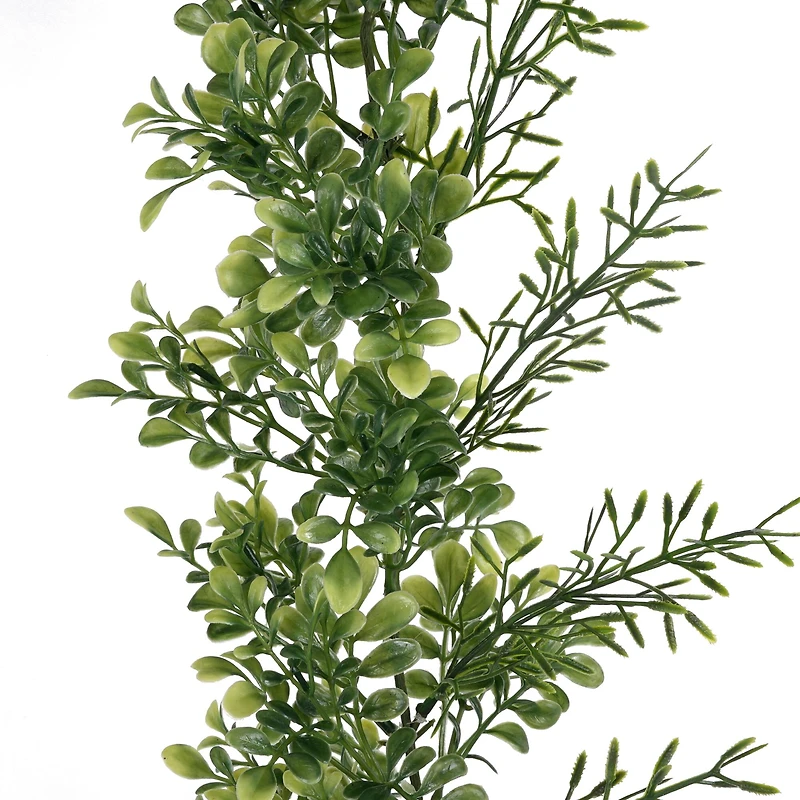 6ft. Green Boxwood Garland by Ashland®