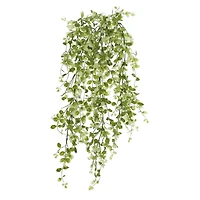 Two Toned Green Hanging Smilax Bush by Ashland®