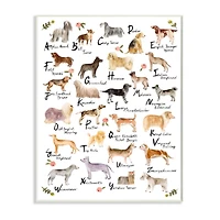 Stupell Industries Chic Alphabet of Dogs with Floral Detail Wall Art