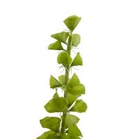 Bells of Ireland Stems, 3ct.